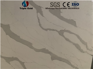 Arabescato Corchia Carrara White Quartz Big Slabs