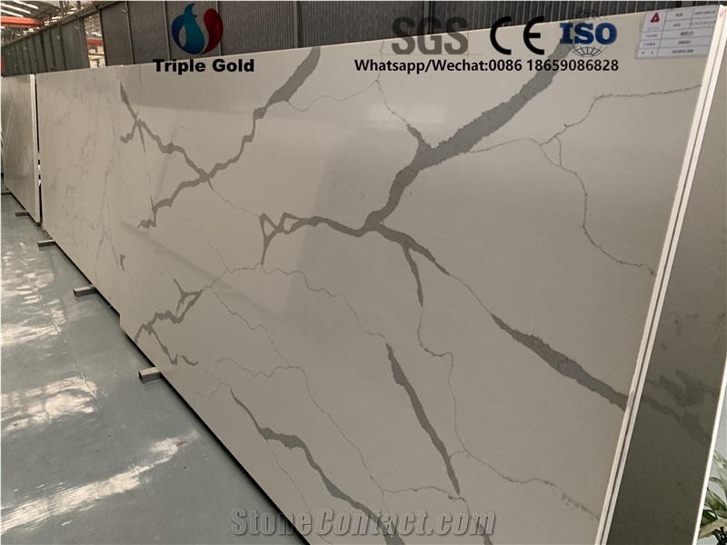 Arabescato Corchia Carrara White Quartz Big Slabs