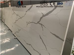 Arabescato Corchia Carrara White Quartz Big Slabs