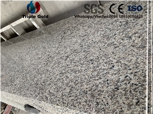 G436 Swan Red Dallas Granite Prefab Countertops