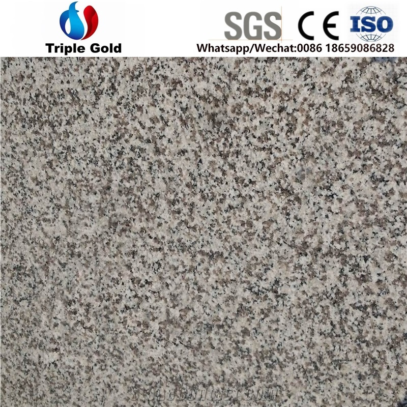 G623 Barre White Light Grey Floor Granite Tiles