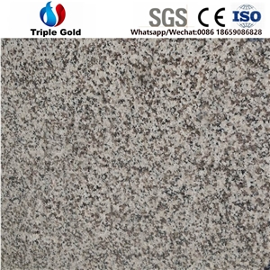 G623 Barre White Light Grey Floor Granite Tiles