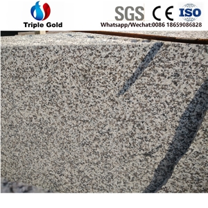 G623 Barre White Light Grey Floor Granite Tiles