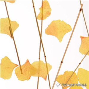New Design Acrylic Sheet for Interior Wall