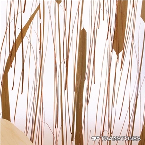 Transtones Wall Decorative Acrylic Panel Table Top