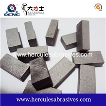 Gang Saw Segment, Block Cutting Segment