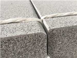 Hubei New G603 Granite Landscaping Garden Block Step Stone