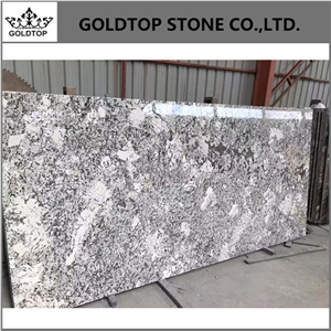 Honed Stone Elegant Snowflake Brazil White Granite