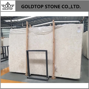 Polished St. Croix Limestone Big Slabs and Tiles