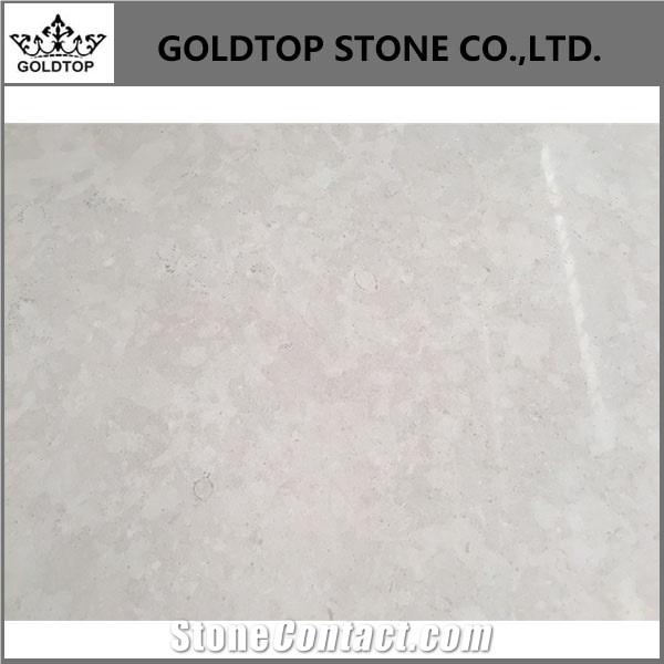 Polished St. Croix Limestone Big Slabs and Tiles