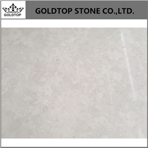 Polished St. Croix Limestone Big Slabs and Tiles