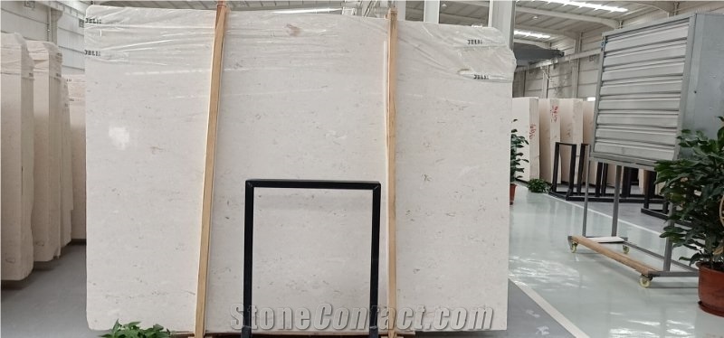 Moon Beige Popular Marble Shell Stone Floor Tile