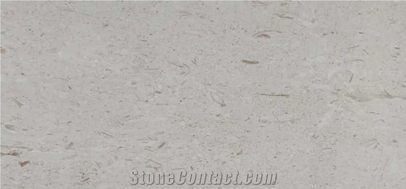 Moon Beige Popular Marble Shell Stone Floor Tile