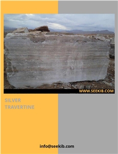 Persian Silver Travertine Block