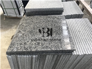 Cheap China Bianco Sardo G602 Granite Slabs Tiles