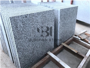 China Cheap G603 Granite Tiles&Slabs