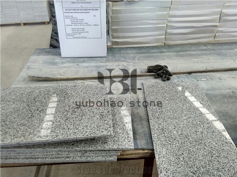 China G603 Cheap Sliver Grey Tile/Slab for Kitchen