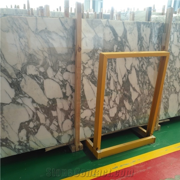 Arabescato Collettino Marble