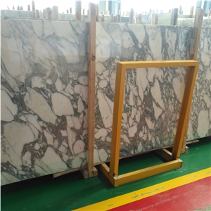Arabescato Collettino Marble Arabescato Collettino Marble