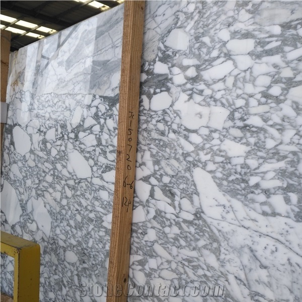 Arabescato Collettino Marble