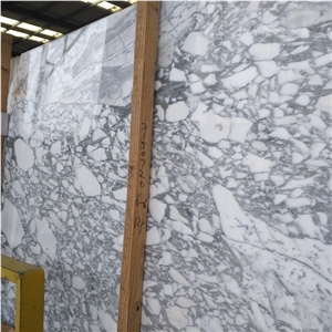 Arabescato Collettino Marble