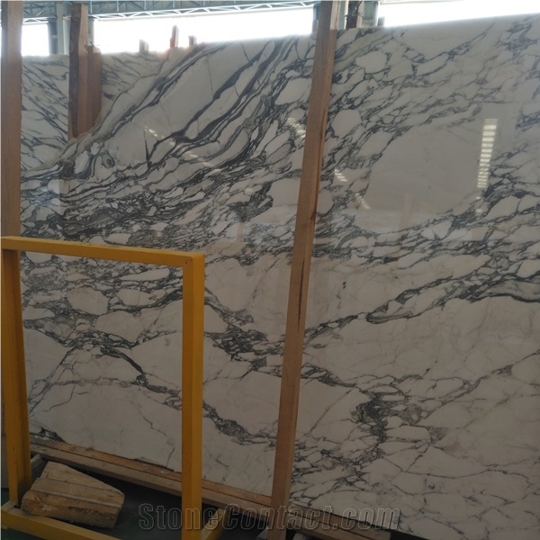 Arabescato Collettino Marble