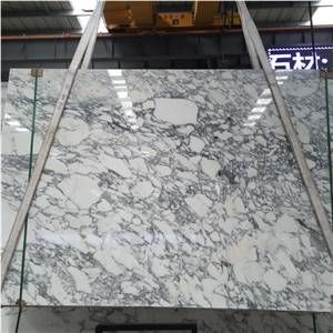 Arabescato Collettino Marble