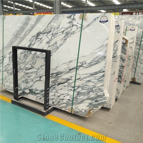 Arabescato Collettino Marble