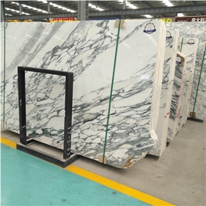 Arabescato Collettino Marble