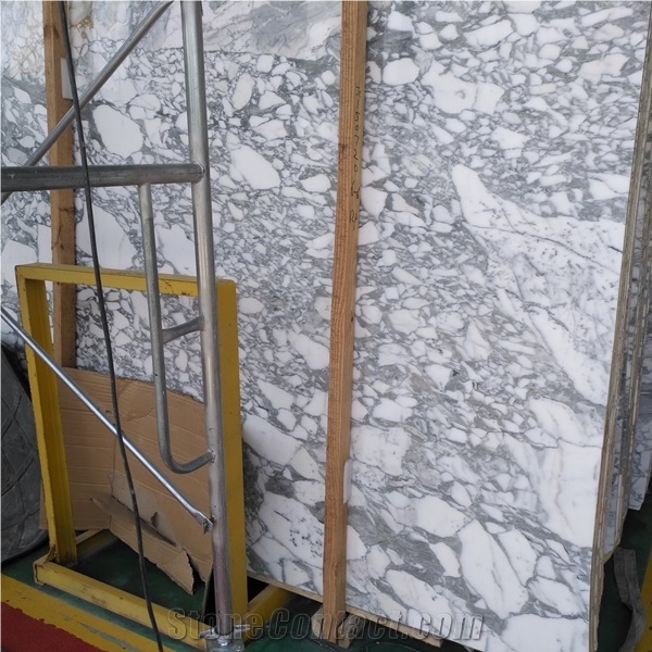 Arabescato Collettino Marble