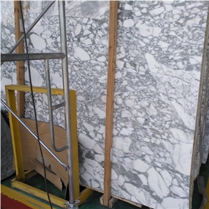 Arabescato Collettino Marble