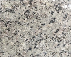 Bala White Granite Slabs