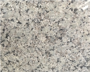 Bala White Granite Slabs