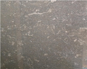Beautiful French Brown Marble Slab Tile