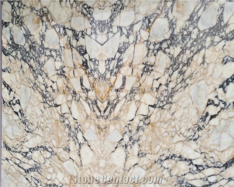 Black and Gold Veins Polished White Marble