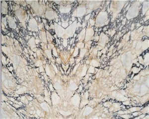 Black and Gold Veins Polished White Marble Black and Gold Veins Polished White Marble