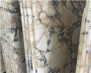 Black and Gold Veins Polished White Marble