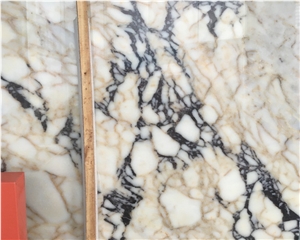 Black and Gold Veins Polished White Marble