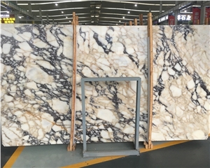 Black and Gold Veins Polished White Marble
