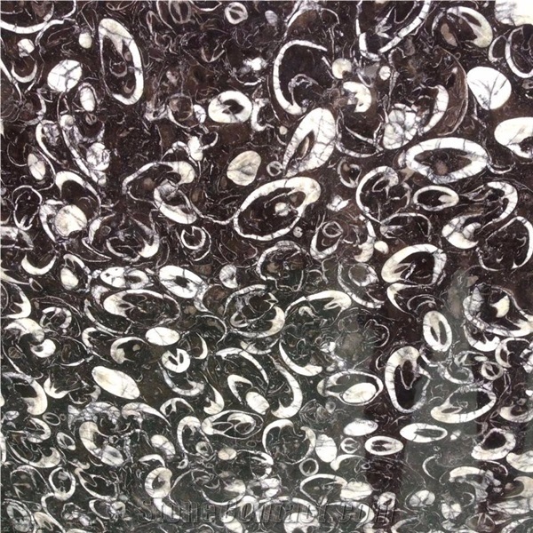 Black Deep Sea Marble Slab