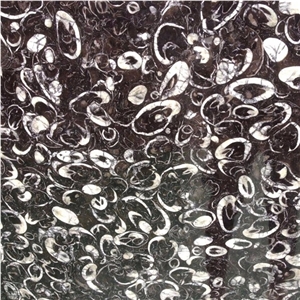 Black Deep Sea Marble Slab