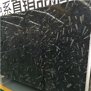Black Fossil Marble Slabs