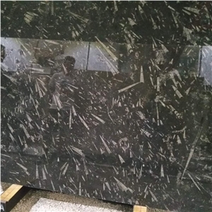 Black Fossil Marble Slabs