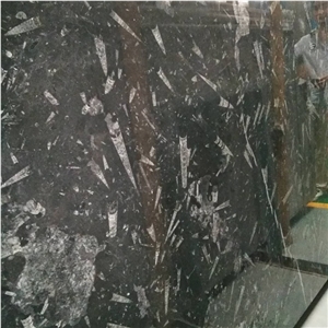 Black Fossil Marble Slabs