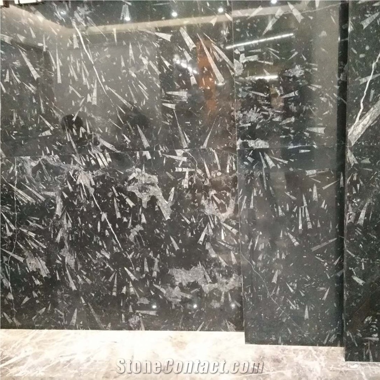 Black Fossil Marble Slabs