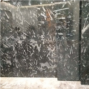 Black Fossil Marble Slabs