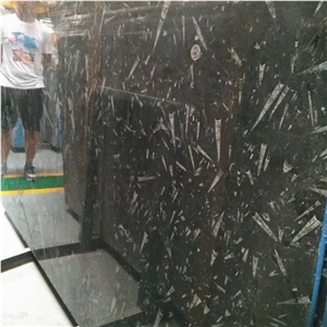 Black Fossil Marble Slabs