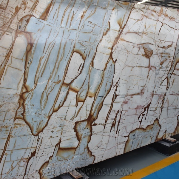 Blue Farfalla Quartzite Slab