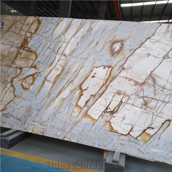 Blue Farfalla Quartzite Slab