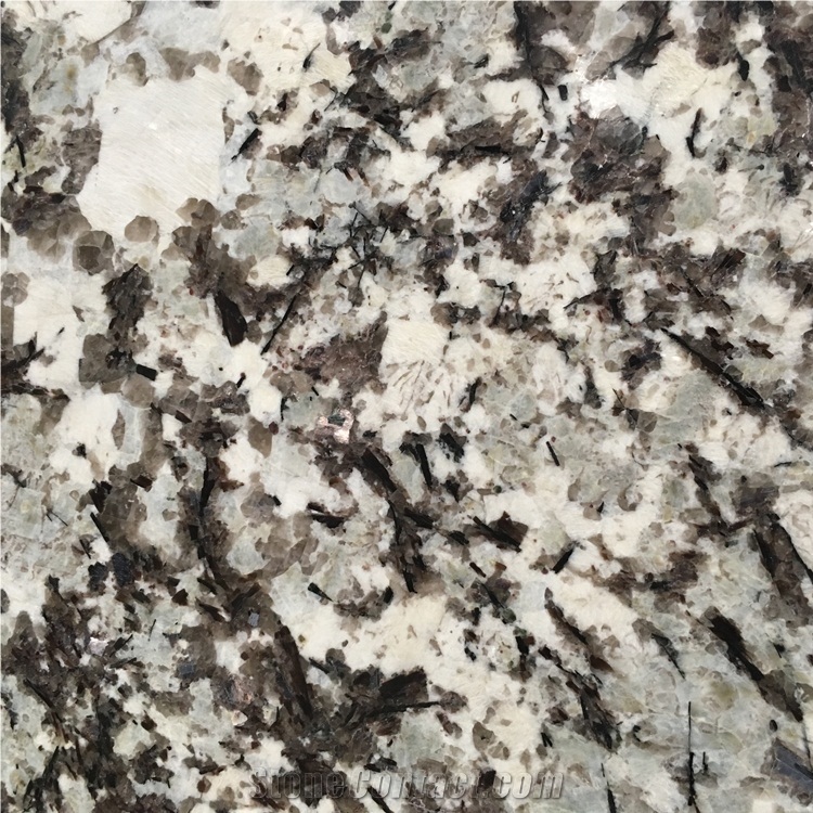 Bullnosed Edge Splendor White Granite Counter Tops